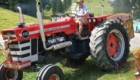 Massey Ferguson 1150 Oldtimer-Traktor