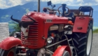 Oldtimer-Traktor Steyr vorne