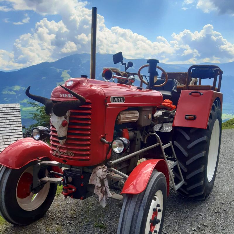 Oldtimer-Traktor Steyr vorne