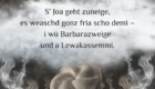 Gedicht Leoganger Krampusrummel